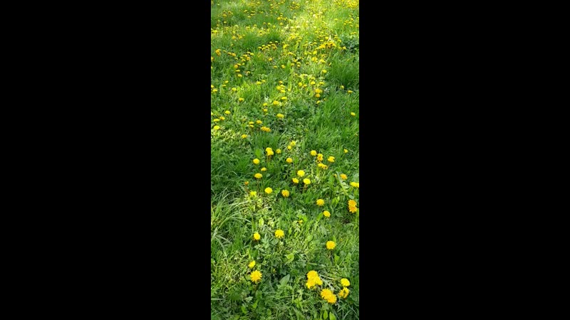 20200525_133841.mp4