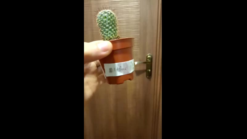 отир