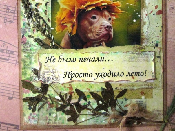 Лета совсем не было. Открытки скоро лето. Яркие моменты лета. Открытки скоро лето. Открытка с изображением открытого окна.