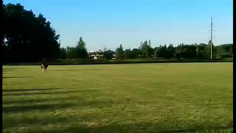 Received_919825458533703.mp4