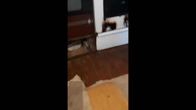 ао