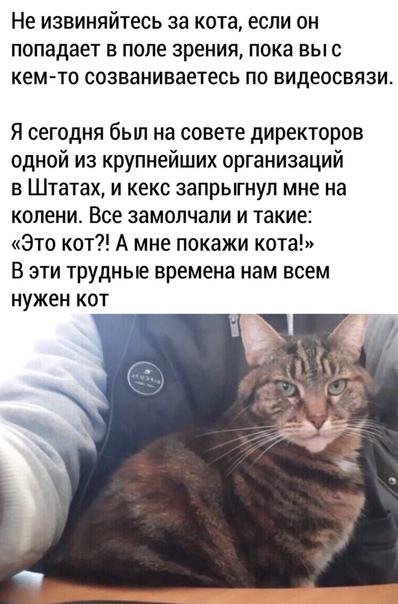 смешные картинки