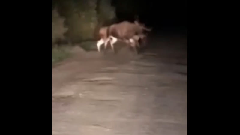 МОЙ ПИТЕР