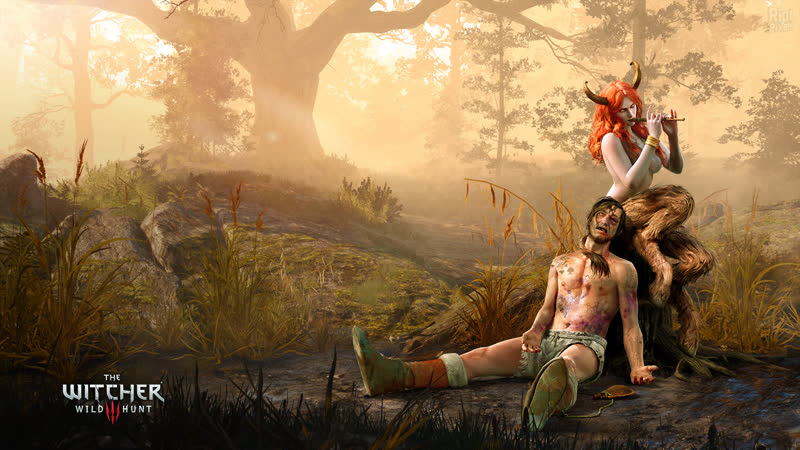 The Witcher 3 Wild Hunt часть 18